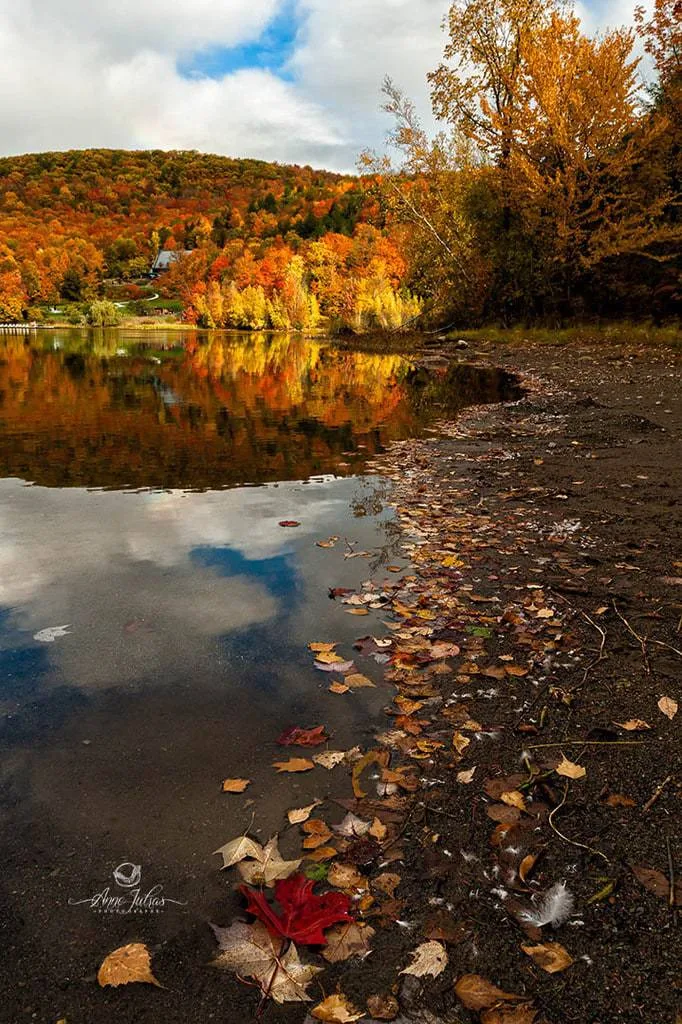 10 astuces pour photographier l’automne et capturer ses couleurs