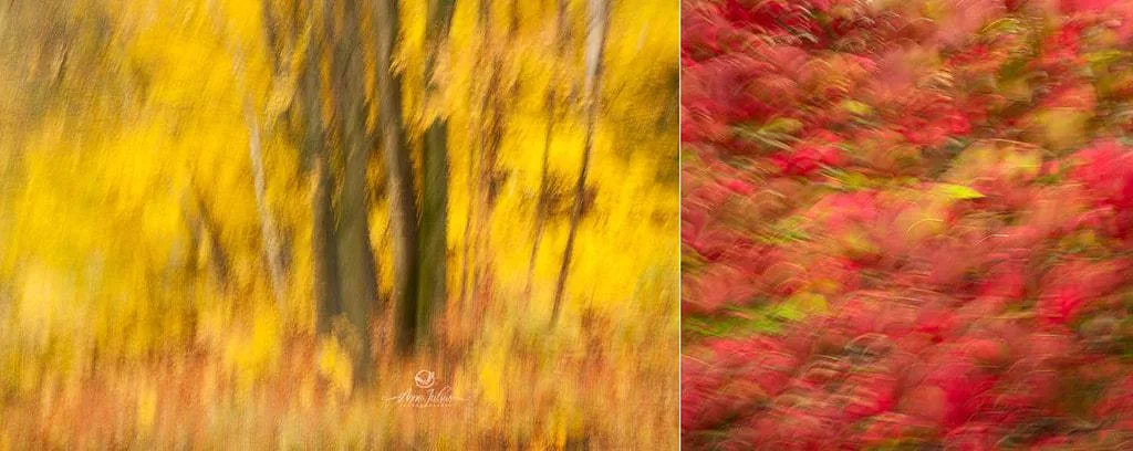 10 astuces pour photographier l’automne et capturer ses couleurs