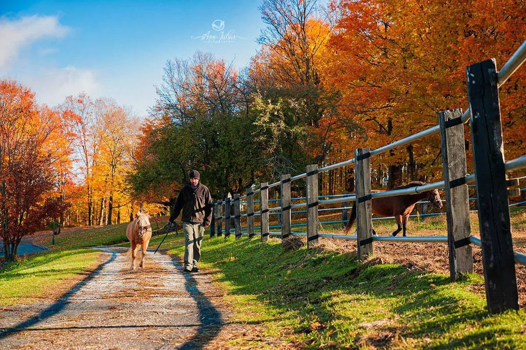 10 astuces pour photographier l’automne et capturer ses couleurs