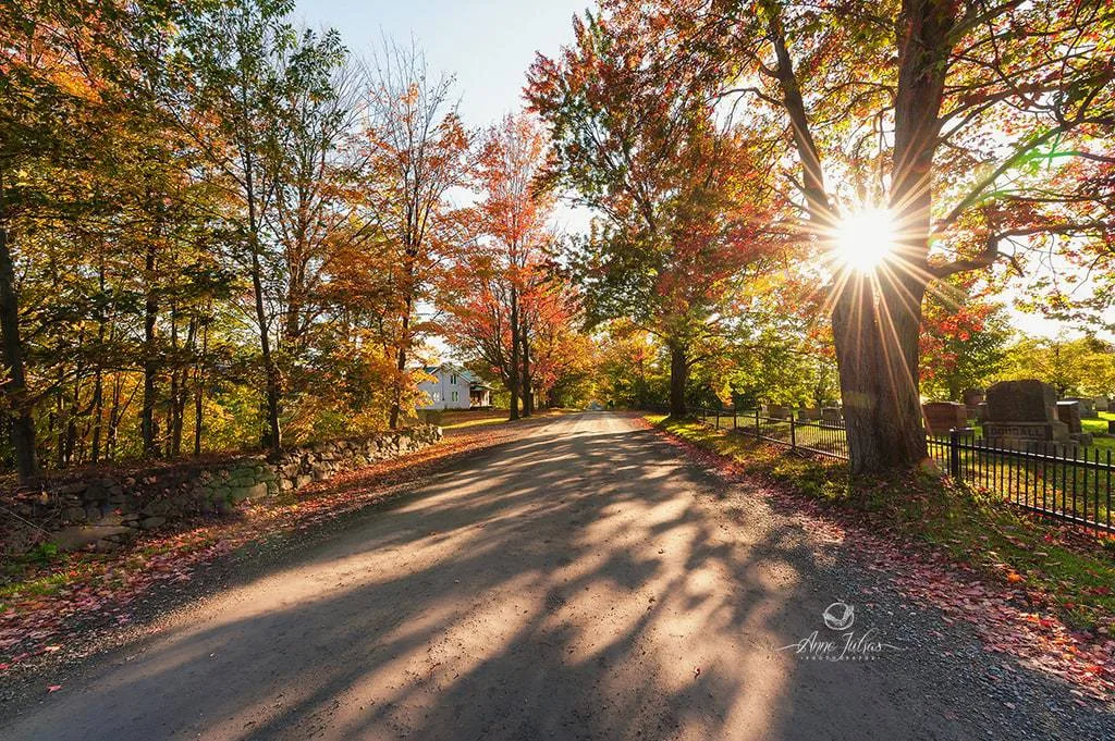 10 astuces pour photographier l’automne et capturer ses couleurs
