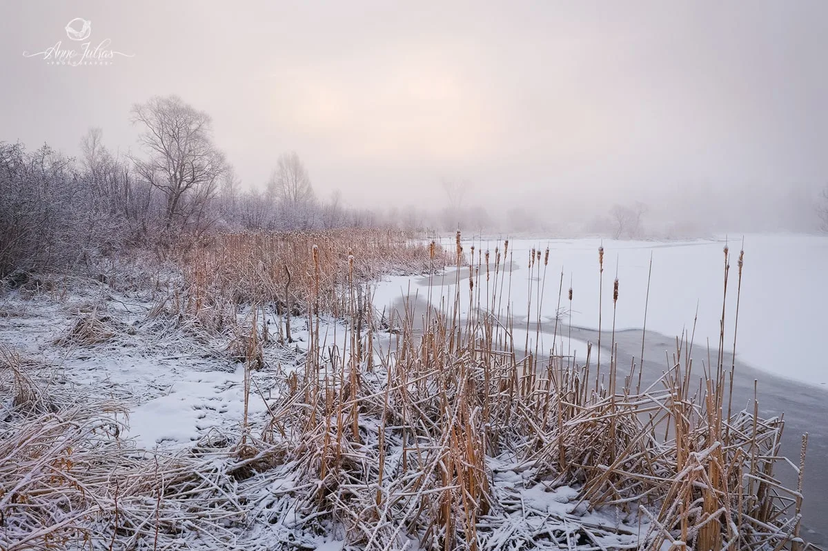 8 conseils pour des photos de paysages plus nettes