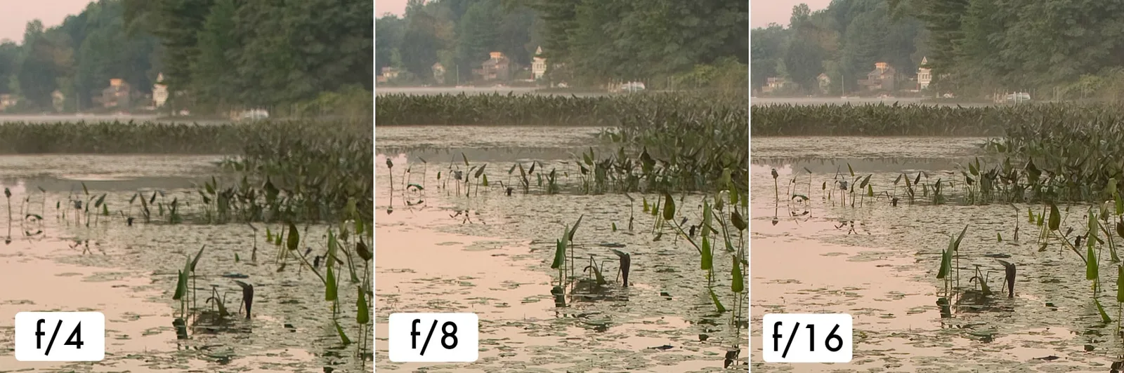 8 conseils pour des photos de paysages plus nettes