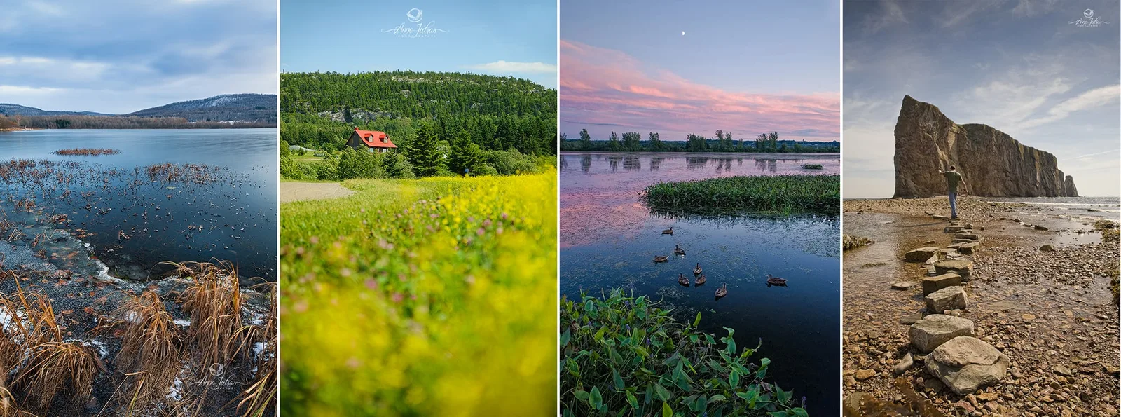 Comment utiliser un premier plan pour donner de la profondeur à vos photos