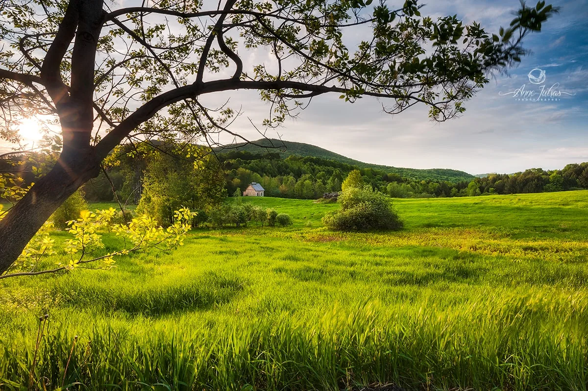 Comment utiliser un premier plan pour donner de la profondeur à vos photos