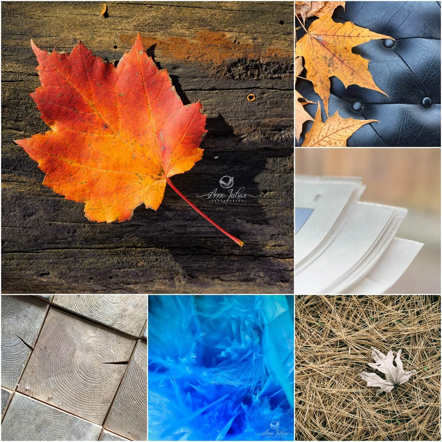 8 projets photographiques pour développer votre créativité