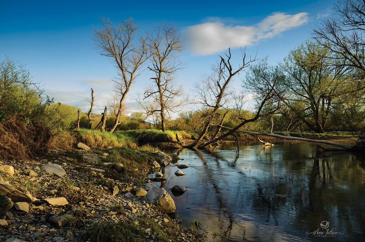 Photo de paysage : 8 questions à se poser avant de shooter
