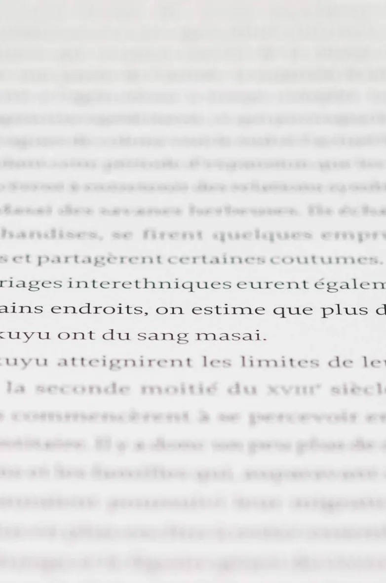 Le Triangle d’Exposition en Photographie : Maîtrisez l’Art de l’Exposition Parfaite
