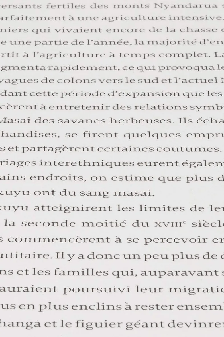 Le Triangle d’Exposition en Photographie : Maîtrisez l’Art de l’Exposition Parfaite