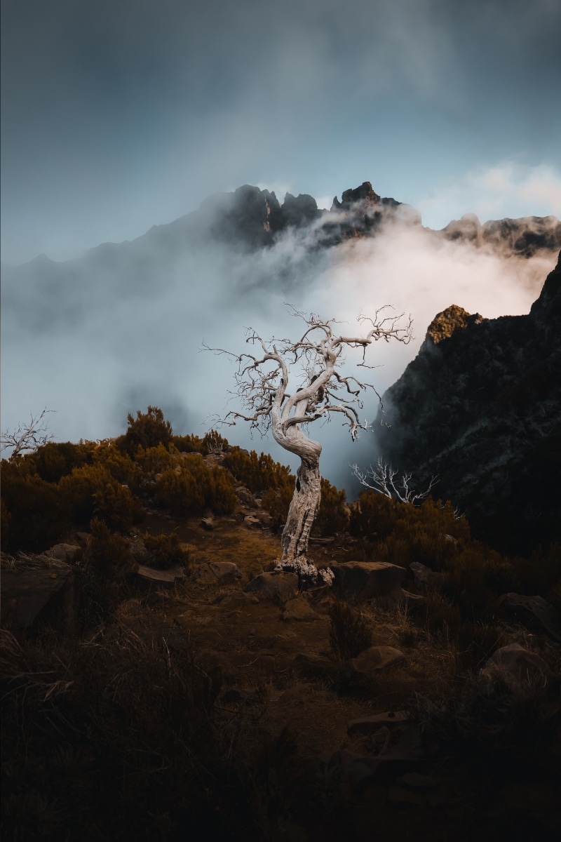 Photo de Mickaël Peralta