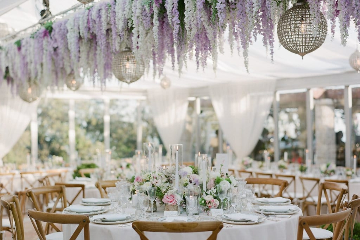 Photo de Lavender And rose