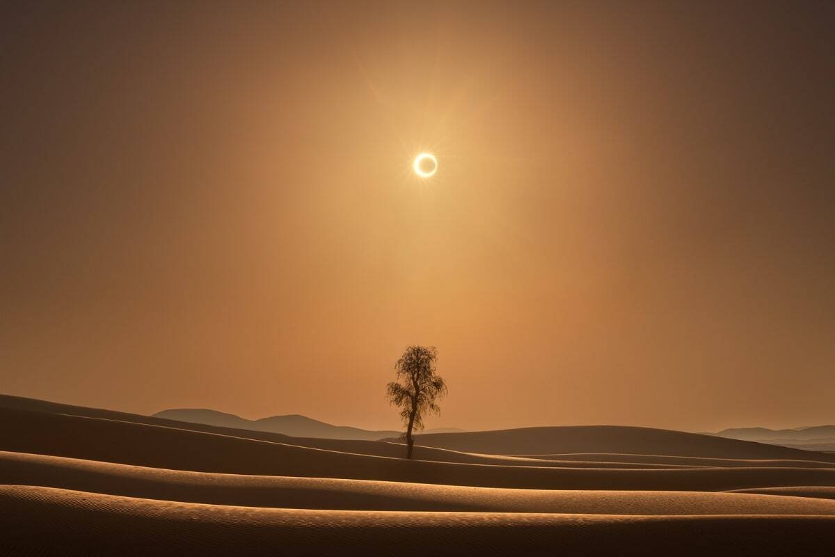 Photo de Maxime Daviron